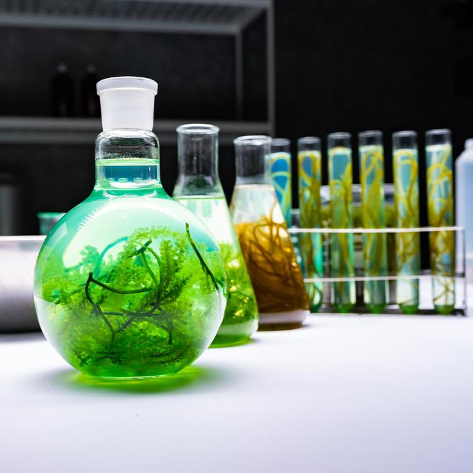 Biochemistry Biochemistry