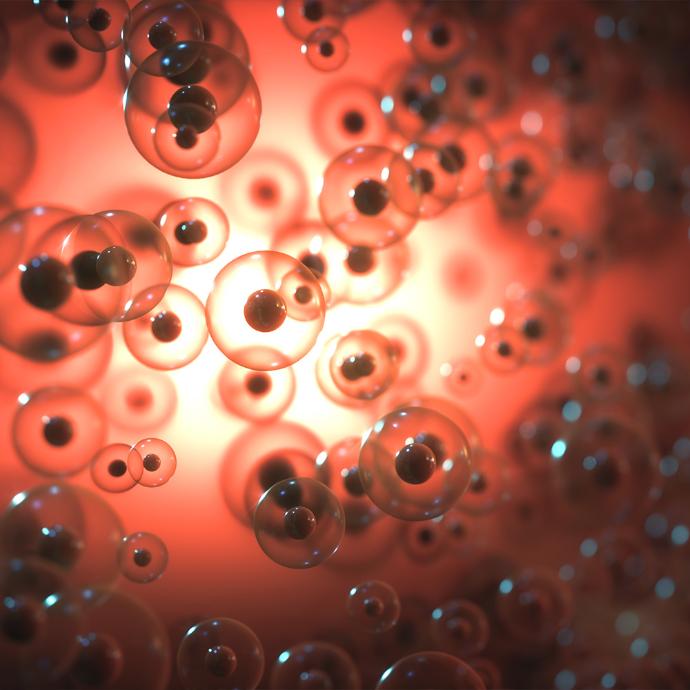 Molecular biology Molecular biology