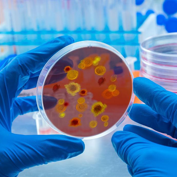 Biology and microbiology Biology and microbiology